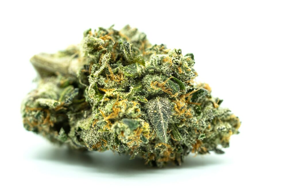 Fleurs CBD mini buds classiques gros plan